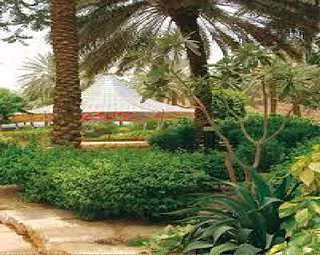 Landscape Design